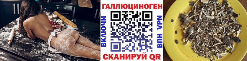 Галлюциногенные грибы Psilocybe  Верхний Уфалей 