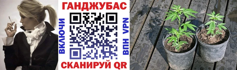 Каннабис OG Kush  hydra ссылки  Верхний Уфалей  что такое  